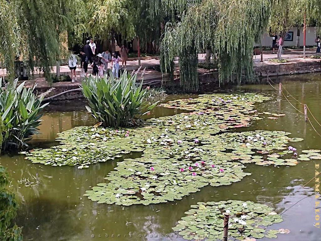Kunming - Parc Cuihu - 44.jpg